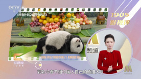 国产精品66福利在线观看